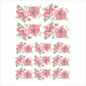 Artebella 1639K Koyu Zemin 35x50 cm Kolay Transfer