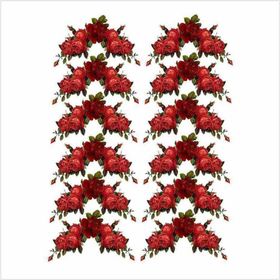 Artebella 1642V Koyu Zemin 35x50 cm Extra Büyük Kolay Transfer