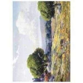 Artebella 23x34 cm Açık Zemin 1388V Büyük Kolay Transfer