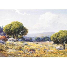 Artebella 23x34 cm Açık Zemin 1388V Büyük Kolay Transfer