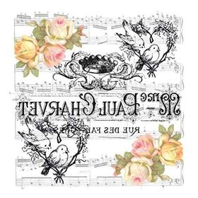 Artebella 25x25 cm 5810V Home Design Serisi Transfer