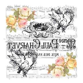 Artebella 25x25 cm 5810V Home Design Serisi Transfer
