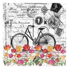 Artebella 5808V Home Design Kolay Transfer