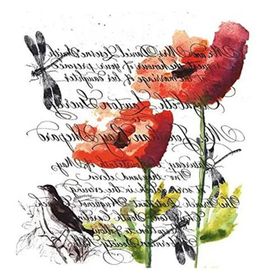 Artebella 5817V Home Design Kolay Transfer