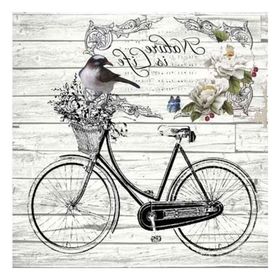 Artebella 5819V Home Design Kolay Transfer