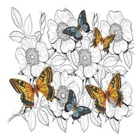 Artebella 5838V Home Design Kolay Transfer