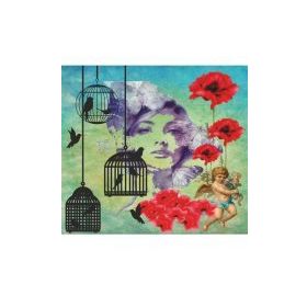 Artebella 6009V Mixart 25x25 cm Kolay Transfer