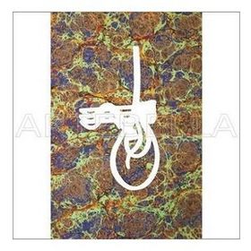 Artebella Açık Zemin 23x34 cm 1521V Klasik Kolay Transfer