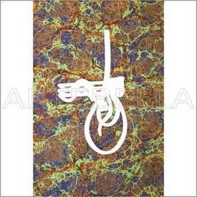 Artebella Açık Zemin 23x34 cm 1521V Klasik Kolay Transfer
