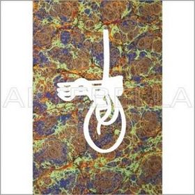 Artebella Açık Zemin 23x34 cm 1521V Klasik Kolay Transfer