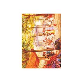 Artebella Açık Zemin 33x48 cm 1609V Extra Büyük Kolay Transfer