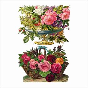 Artebella Açık Zemin 33x48 cm 1640V Extra Büyük Kolay Transfer