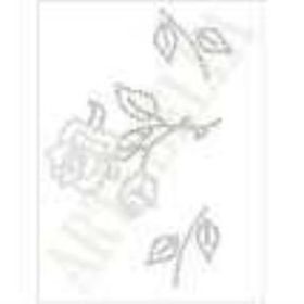 Artebella CT-13 Camtaş Transfer