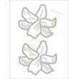 Artebella CT-14 Camtaş Transfer