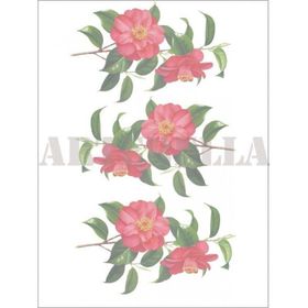 Artebella Kolay Transfer 1244K Ebru Boyası