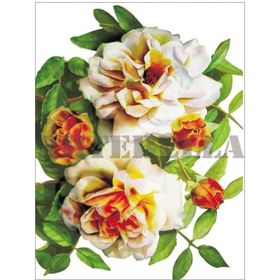 Artebella Kolay Transfer 1264V Ebru Boyası