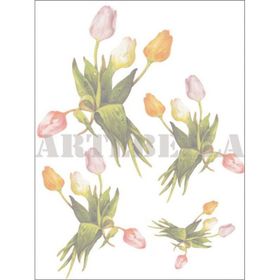 Artebella Kolay Transfer 1272K Ebru Boyası