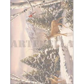 Artebella Kolay Transfer 1356K Ebru Boyası
