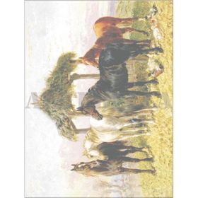 Artebella Kolay Transfer 1372K Ebru Boyası