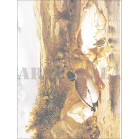 Artebella Kolay Transfer 1373K Ebru Boyası