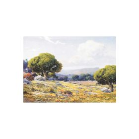 Artebella Kolay Transfer 1388V Ebru Boyası