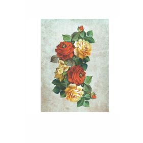 Artebella Kolay Transfer 1420V Ebru Boyası