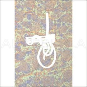 Artebella Kolay Transfer 1521K Ebru Boyası