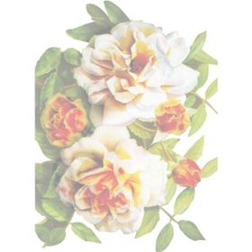 Artebella Koyu Zemin 17x24 cm 1243K Küçük Kolay Transfer
