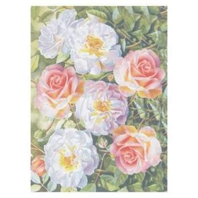 Artebella Koyu Zemin 33x48 cm 1619K Extra Büyük Kolay Transfer