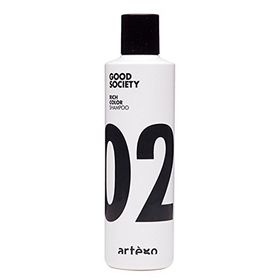 Artego Good Society 02 Rich Color 250 ml Şampuan