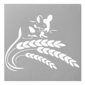 Artekil Farfalle 30x30 cm Fayans Duvar Mobilya Stencil Boyama Şablonu
