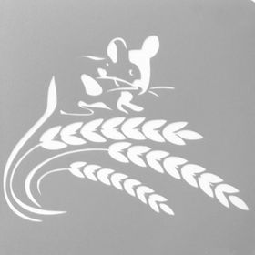 Artekil Farfalle 30x30 cm Fayans Duvar Mobilya Stencil Boyama Şablonu