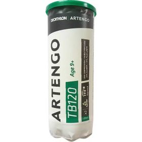 Artengo TB 120 X3 Yeşil Noktalı Tenis Topu