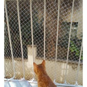 Artı 3 Mtx10 Mt 2,5 Cm Gözaralıklı Balkon Kuş Kedi Filesi Ağı