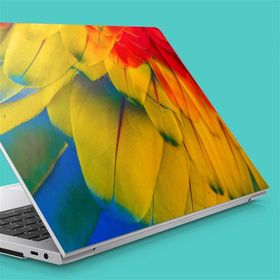 Artikel Afrika Papağanı Makro Notebook Sticker