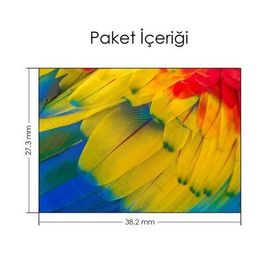 Artikel Afrika Papağanı Makro Notebook Sticker