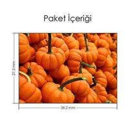 Artikel Balkabakları Notebook Sticker