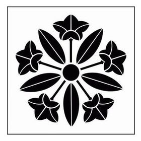 Artikel Çiçek Motif 4 Stencil Boyama şablonu 30x30 cm Duvar Stencil
