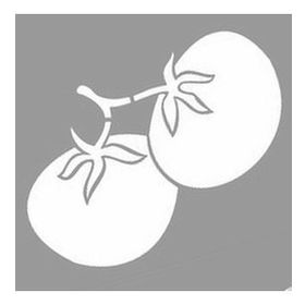 Artikel Domates 30x30 cm Duvar Fayans Mobilya Stencil Boyama Şablonu