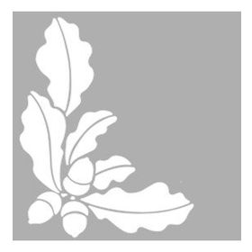 Artikel Fındık Dalı 30x30 cm Fayans Duvar Mobilya Stencil Boyama Şablonu