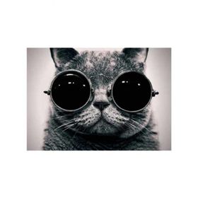 Artikel Gözlüklü Kedi Notebook Sticker
