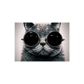Artikel Gözlüklü Kedi Notebook Sticker