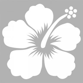 Artikel Hibisküs 30x30 cm Fayans Duvar Mobilya Stencil Boyama Şablonu