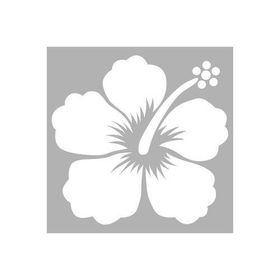 Artikel Hibisküs 30x30 cm Fayans Duvar Mobilya Stencil Boyama Şablonu