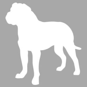 Artikel İkon Bulldog Stencil Boyama Şablonu 30x30 cm Duvar Stencil