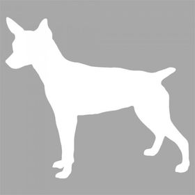 Artikel İkon Chiauachiaua Stencil Boyama Şablonu 30x30 cm Duvar Stencil