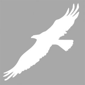 Artikel İkon Kartal Stencil Boyama Şablonu 30x30 cm Duvar Stencil