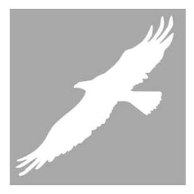 Artikel İkon Kartal Stencil Boyama Şablonu 30x30 cm Duvar Stencil