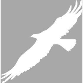 Artikel İkon Kartal Stencil Boyama Şablonu 30x30 cm Duvar Stencil
