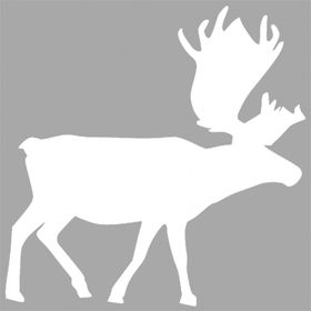 Artikel İkon Moose Stencil Boyama Şablonu 30x30 cm Duvar Stencil